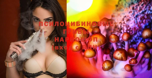 прущая мука Кулебаки