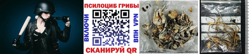 Галлюциногенные грибы прущие грибы  Купить закладки  Баксан 